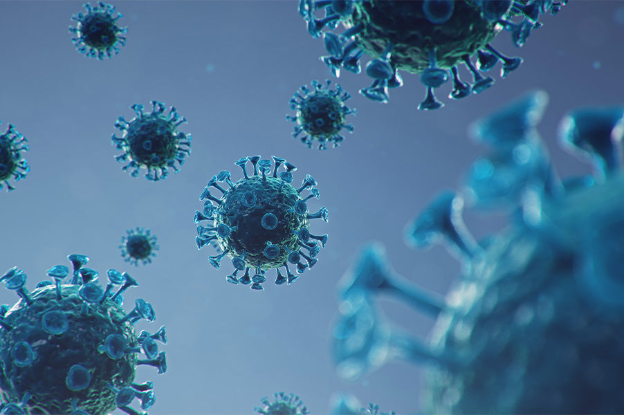 Neue Corona Variante Schnelltest kaufen Schnelltest Store